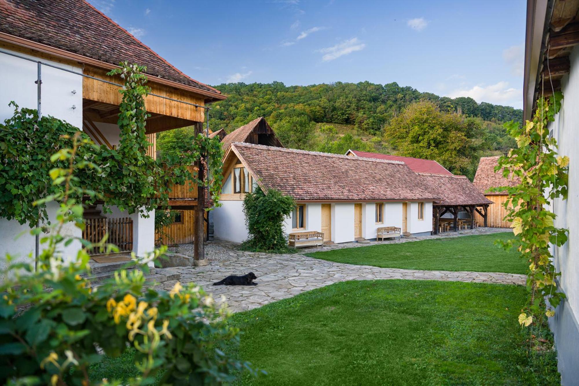 Mesendorf Gasthaus Bagian luar foto